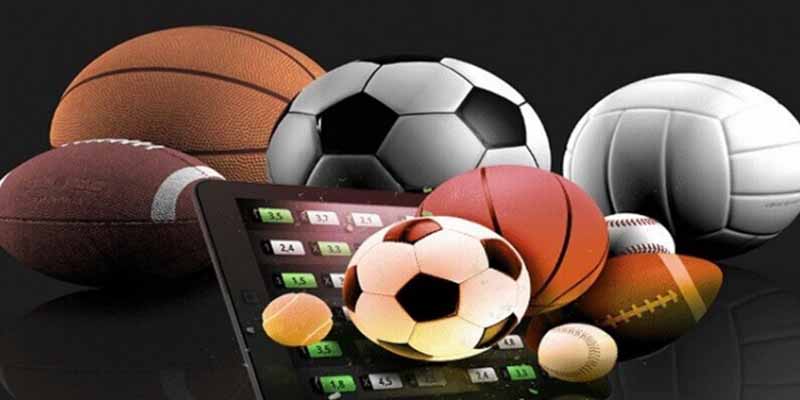 Các bước đăng ký và trải nghiệm